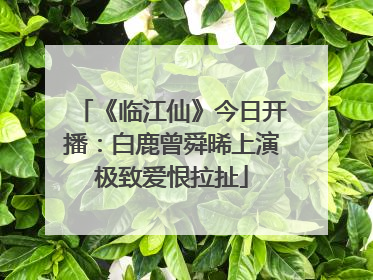 《临江仙》今日开播：白鹿曾舜晞上演极致爱恨拉扯