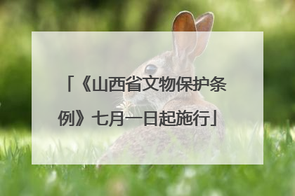 《山西省文物保护条例》七月一日起施行