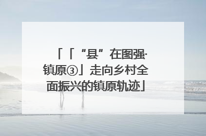 「“县”在图强·镇原③」走向乡村全面振兴的镇原轨迹