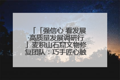 「强信心 看发展·高质量发展调研行」麦积山石窟文物修复团队：巧手匠心触摸“光阴的故事”