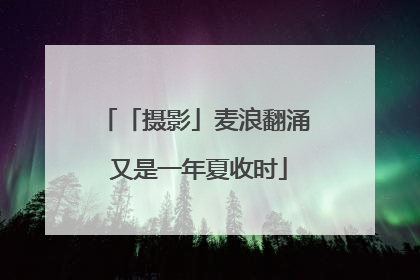 「摄影」麦浪翻涌 又是一年夏收时