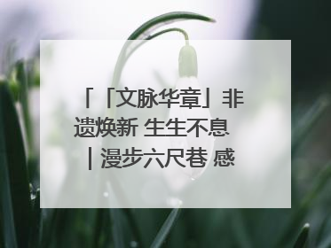 「文脉华章」非遗焕新 生生不息｜漫步六尺巷 感受礼让文化浸润的“巷”往生活