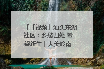 「视频」汕头东湖社区：乡愁归处 希望新生｜大美岭南·百村焕新记