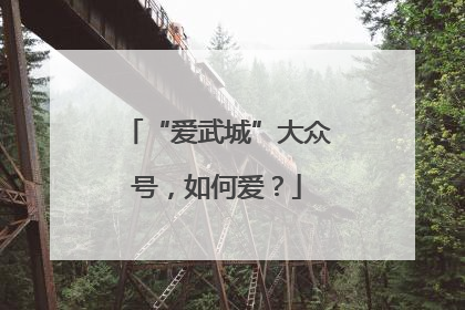 “爱武城”大众号，如何爱？