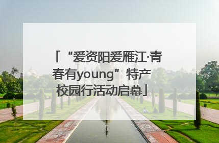 “爱资阳爱雁江·青春有young”特产校园行活动启幕