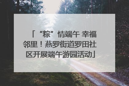 “粽”情端午 幸福邻里！燕罗街道罗田社区开展端午游园活动