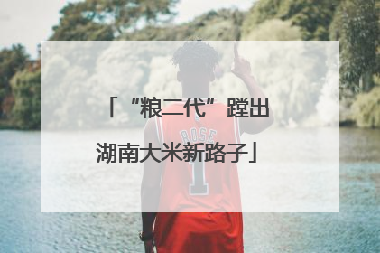 “粮二代”蹚出湖南大米新路子
