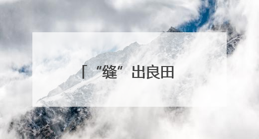 “缝”出良田 “锈”出新景——洪江土地活用记