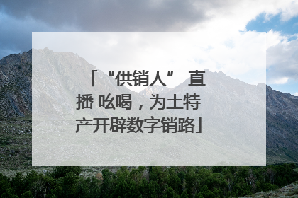 “供销人” 直播 吆喝，为土特产开辟数字销路