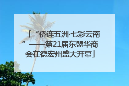 “侨连五洲·七彩云南”——第21届东盟华商会在德宏州盛大开幕