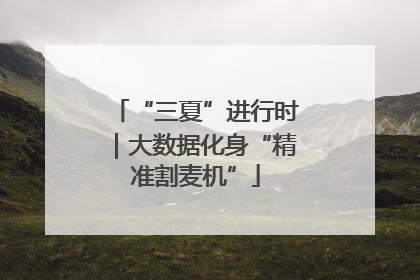 “三夏”进行时｜大数据化身“精准割麦机”