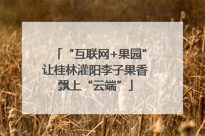 “互联网+果园”让桂林灌阳李子果香飘上“云端”