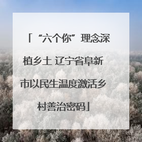 “六个你”理念深植乡土 辽宁省阜新市以民生温度激活乡村善治密码