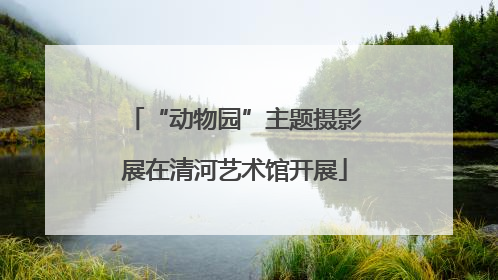 “动物园”主题摄影展在清河艺术馆开展