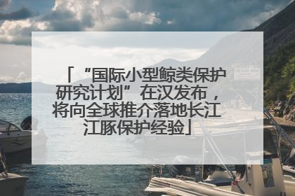 “国际小型鲸类保护研究计划”在汉发布，将向全球推介落地长江江豚保护经验
