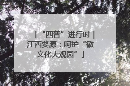“四普”进行时｜江西婺源：呵护“徽文化大观园”