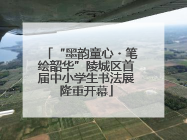 “墨韵童心・笔绘韶华”陵城区首届中小学生书法展隆重开幕