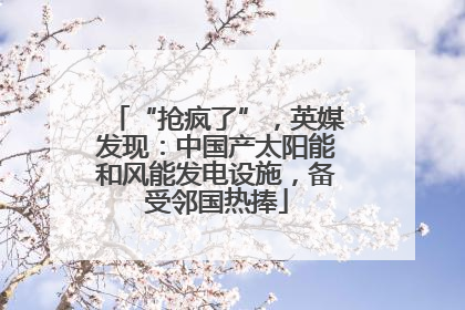 “抢疯了”，英媒发现：中国产太阳能和风能发电设施，备受邻国热捧