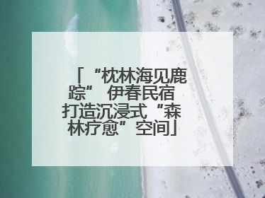 “枕林海见鹿踪” 伊春民宿打造沉浸式“森林疗愈”空间