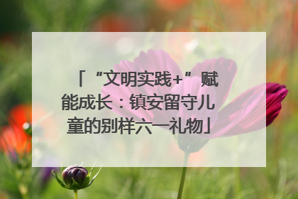 “文明实践+”赋能成长：镇安留守儿童的别样六一礼物