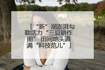 “新”潮澎湃勾勒活力“三夏耕作图” 田间地头满满“科技范儿”