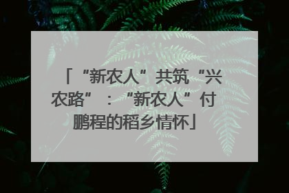 “新农人”共筑“兴农路”：“新农人”付鹏程的稻乡情怀