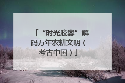 “时光胶囊”解码万年农耕文明（考古中国）