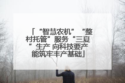“智慧农机”“整村托管”服务“三夏”生产 向科技要产能筑牢丰产基础