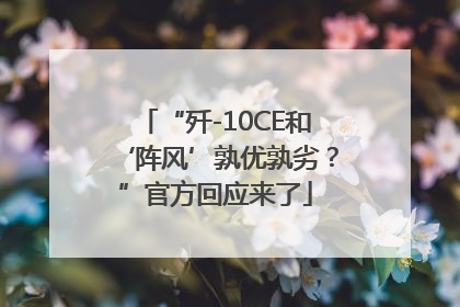 “歼-10CE和‘阵风’孰优孰劣？”官方回应来了