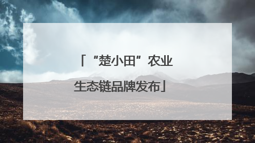 “楚小田”农业生态链品牌发布