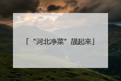 “河北净菜”靓起来