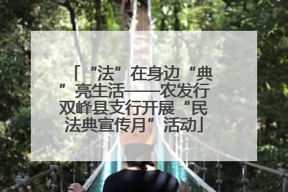 “法”在身边“典”亮生活——农发行双峰县支行开展“民法典宣传月”活动