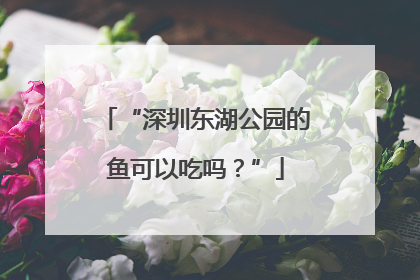 “深圳东湖公园的鱼可以吃吗？”