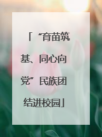 “育苗筑基、同心向党”民族团结进校园
