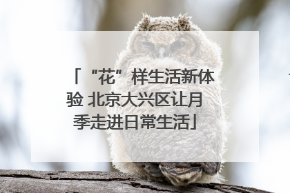 “花”样生活新体验 北京大兴区让月季走进日常生活