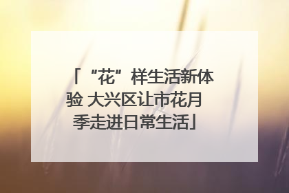“花”样生活新体验 大兴区让市花月季走进日常生活