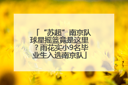 “苏超”南京队球星摇篮竟是这里？雨花实小9名毕业生入选南京队