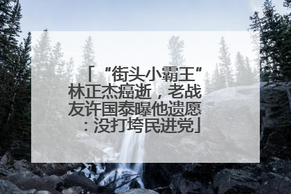“街头小霸王”林正杰癌逝，老战友许国泰曝他遗愿：没打垮民进党