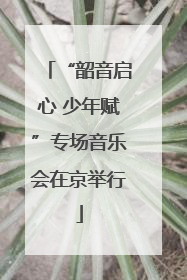 “韶音启心 少年赋”专场音乐会在京举行