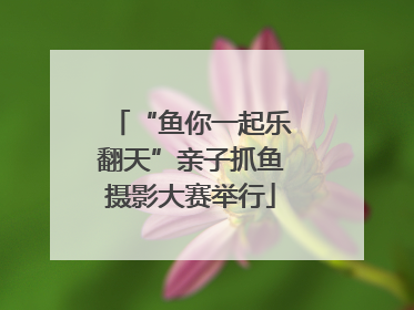 “鱼你一起乐翻天”亲子抓鱼摄影大赛举行