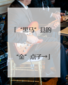 “黑马”县的“金”点子→