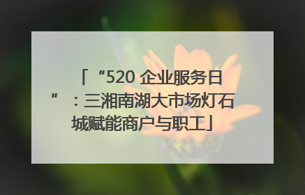 “520 企业服务日”：三湘南湖大市场灯石城赋能商户与职工
