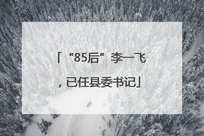 “85后”李一飞，已任县委书记