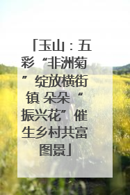 玉山：五彩“非洲菊”绽放横街镇 朵朵“振兴花”催生乡村共富图景