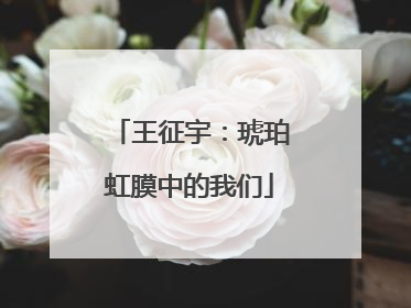 王征宇：琥珀虹膜中的我们