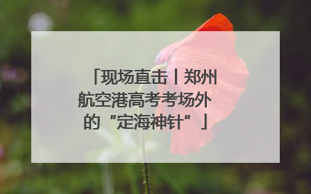 现场直击丨郑州航空港高考考场外的“定海神针”