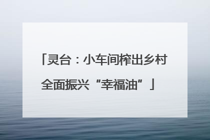 灵台：小车间榨出乡村全面振兴“幸福油”