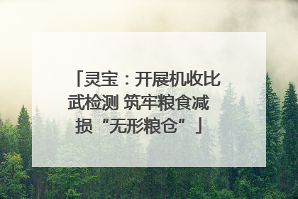 灵宝：开展机收比武检测 筑牢粮食减损“无形粮仓”