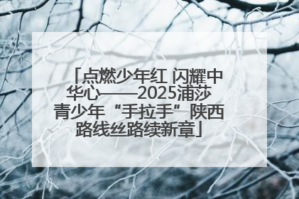 点燃少年红 闪耀中华心——2025浦莎青少年“手拉手”陕西路线丝路续新章