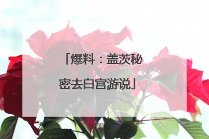 爆料：盖茨秘密去白宫游说